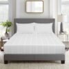 Ivory Classic - Image 4